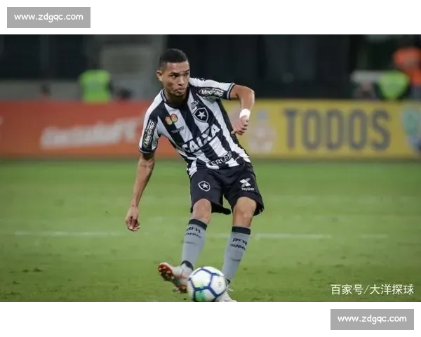 博塔弗戈主场迎战阿瓦伊南美联赛焦点对决前瞻实力走势与胜负悬念解析